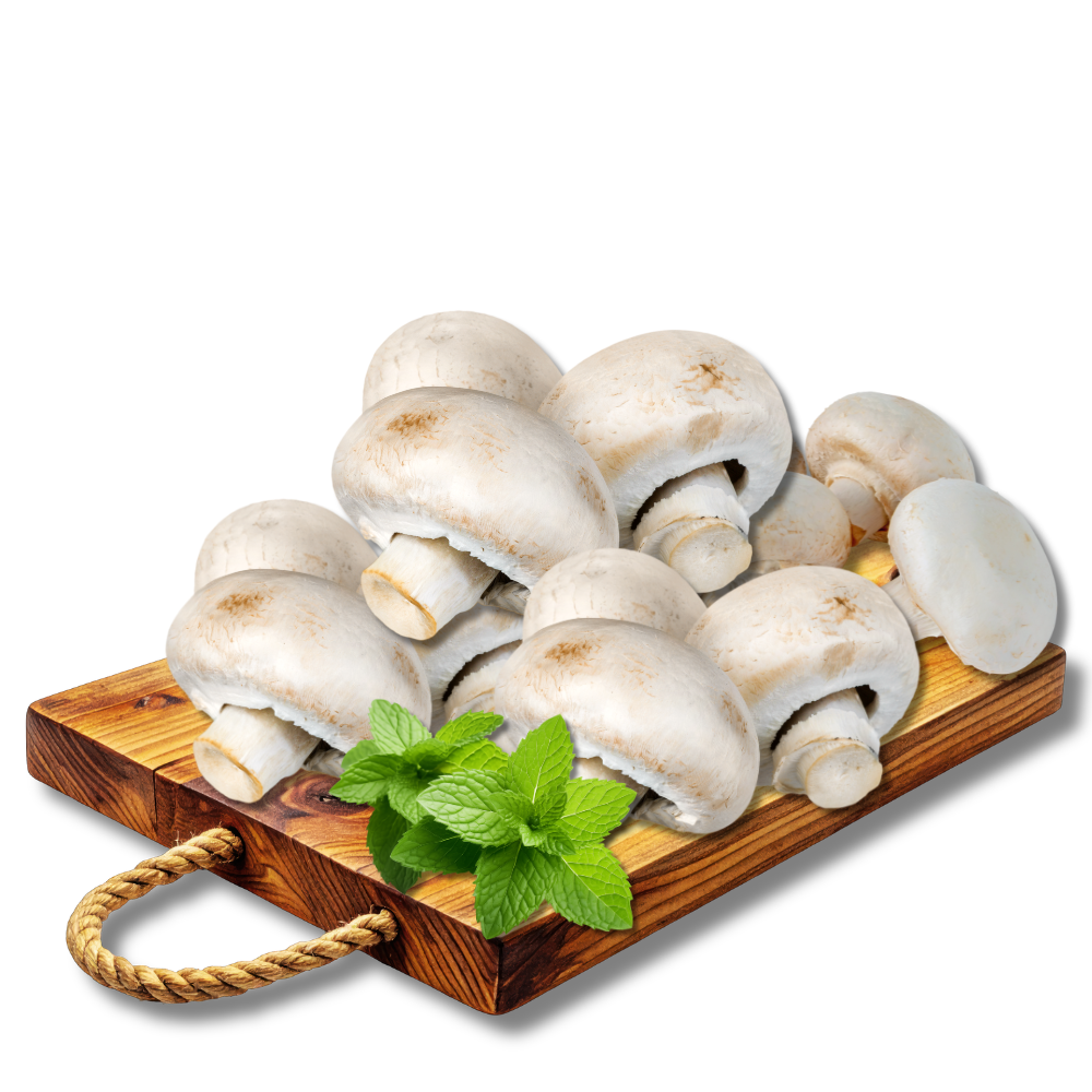 Jamur Champignon 1PK